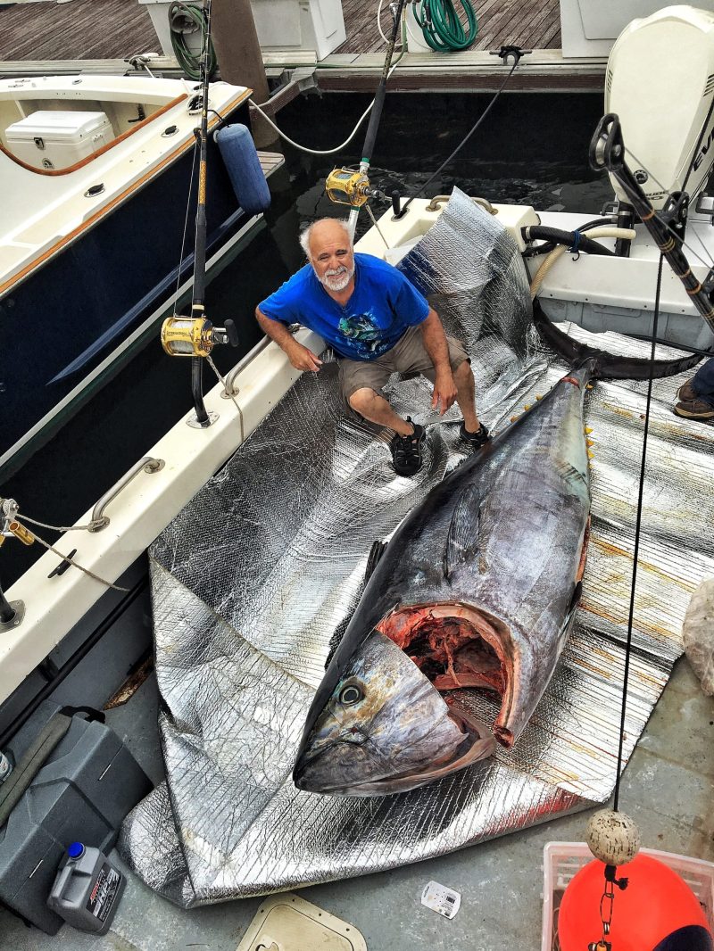 Giant bluefin tuna, over 8 feet long and just shy of 800 lbs. Caught by my dad and two of his fishing buddies. Photo: © TNG