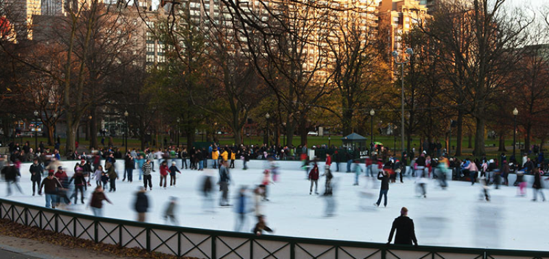 Photo; Boston Frog Pond Website